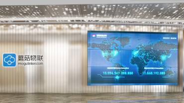 蘑菇物聯深圳辦公室